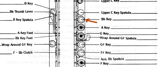 Flute Bb.jpg